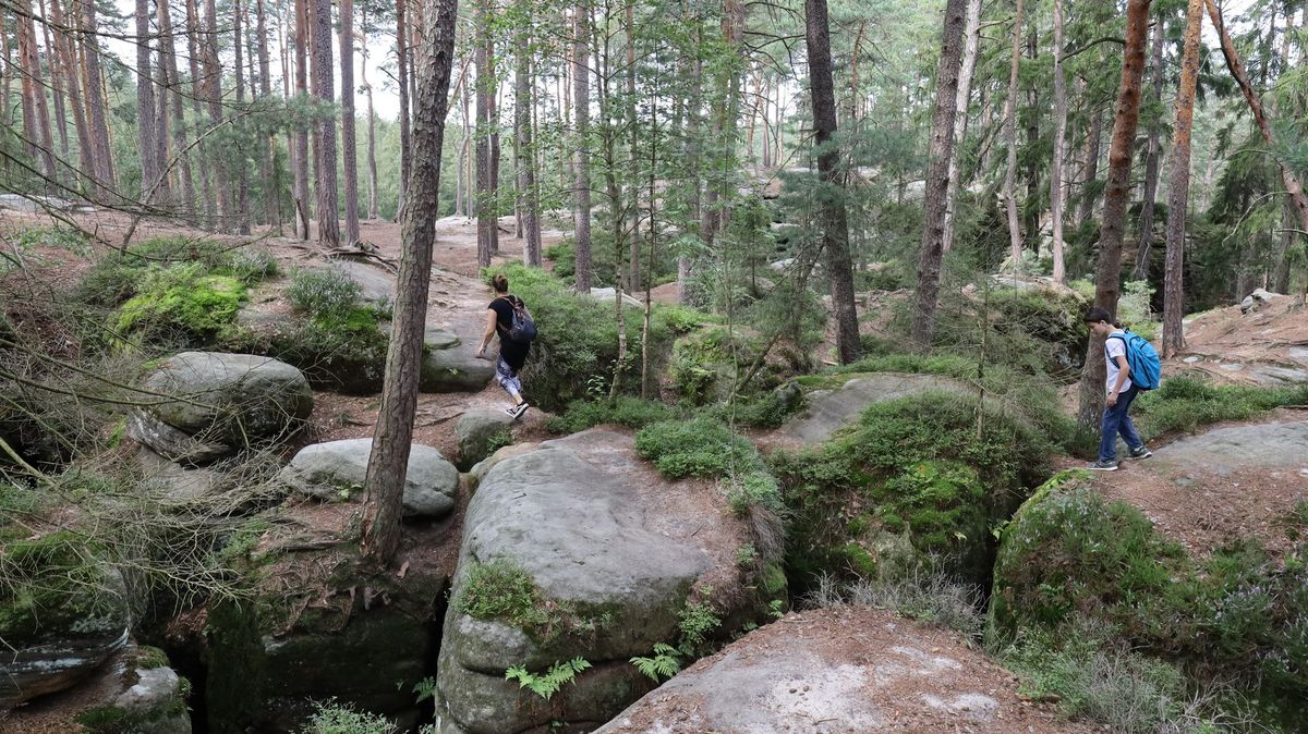 „S tím jsem se ještě nesetkal.“ Kraj chce zmenšit přírodní rezervaci